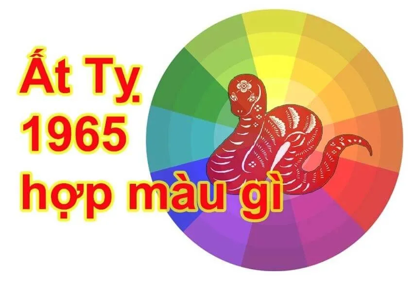 Màu sắc không chỉ là một yếu tố thẩm mỹ mà còn ảnh hưởng trực tiếp tới sự cân bằng năng lượng