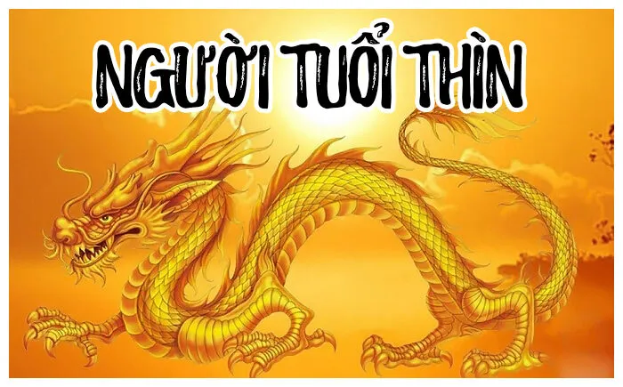 Nam mạng, Nữ mạng tuổi Canh Thìn 2000 mệnh gì, tuổi gì, hợp màu gì?