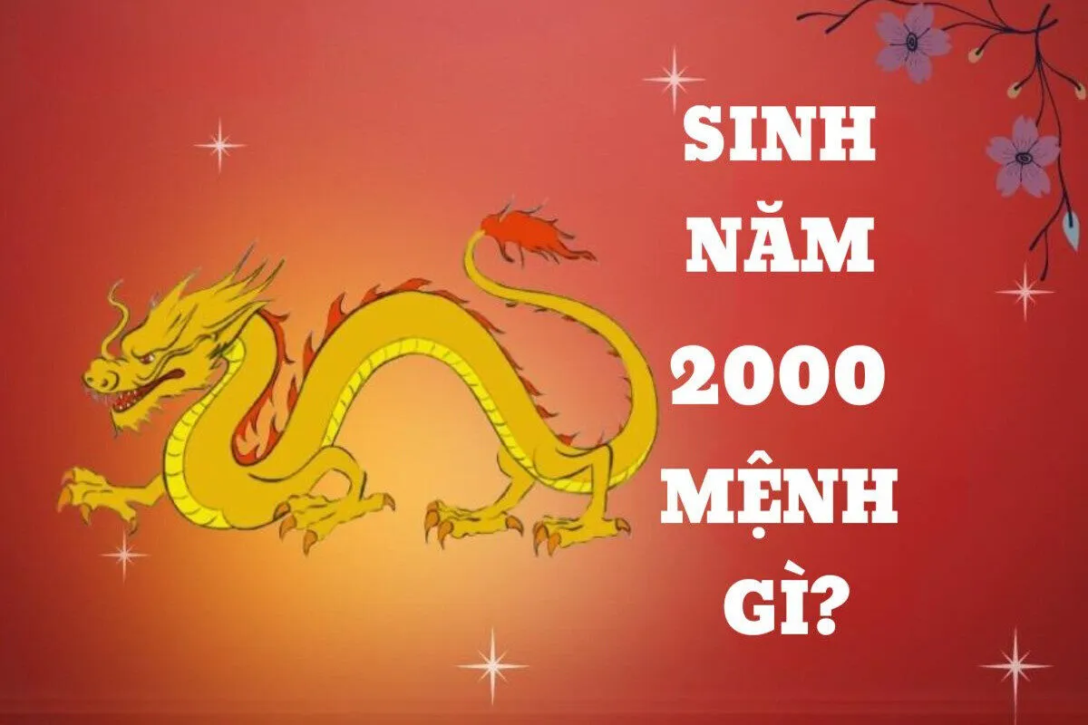 Nam mạng, Nữ mạng tuổi Canh Thìn 2000 mệnh gì, tuổi gì, hợp màu gì?