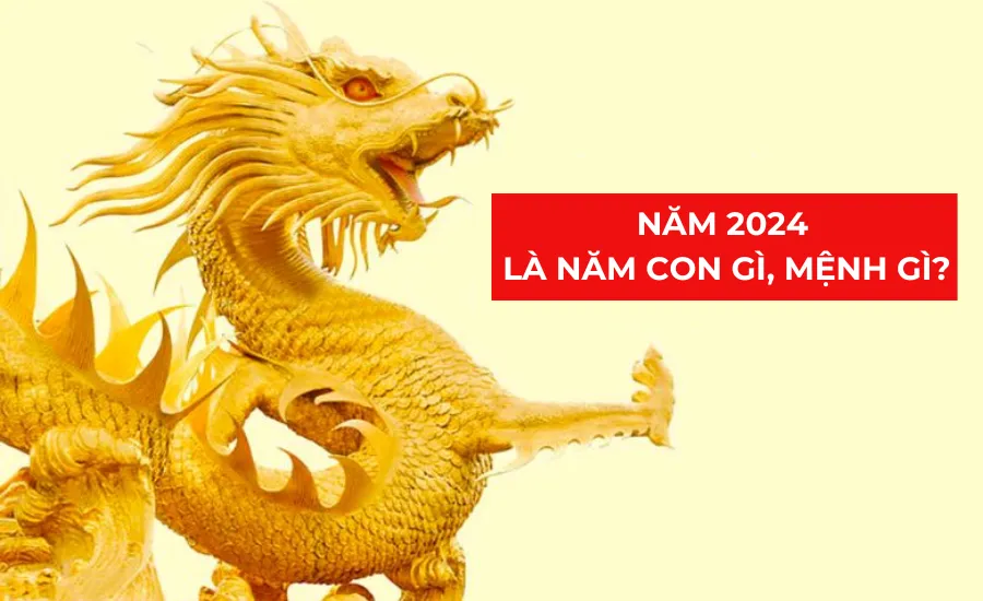 Nam mạng, Nữ mạng tuổi Giáp Thìn 2024 mệnh gì, tuổi gì, hợp màu gì?